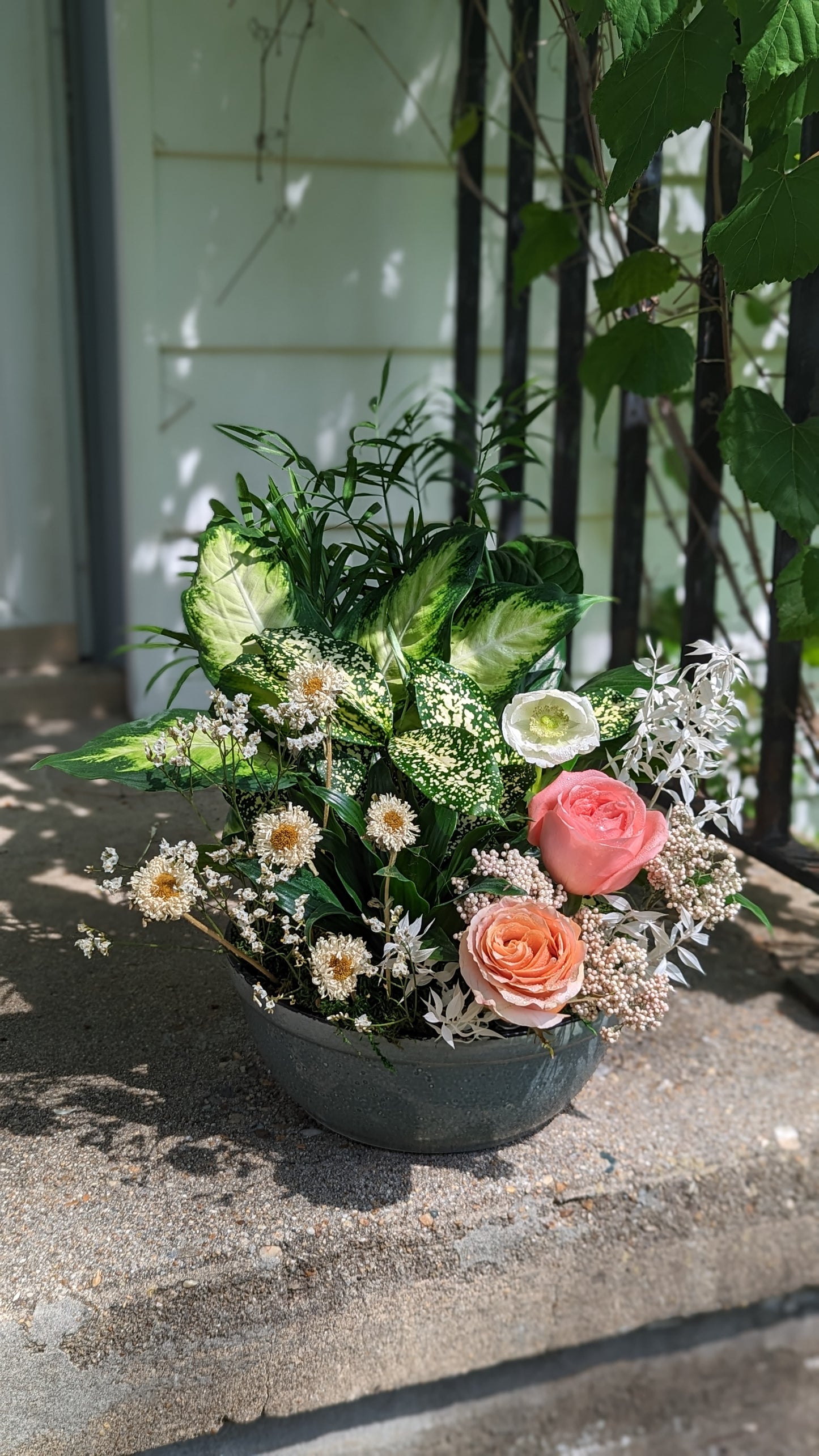 Dish Garden