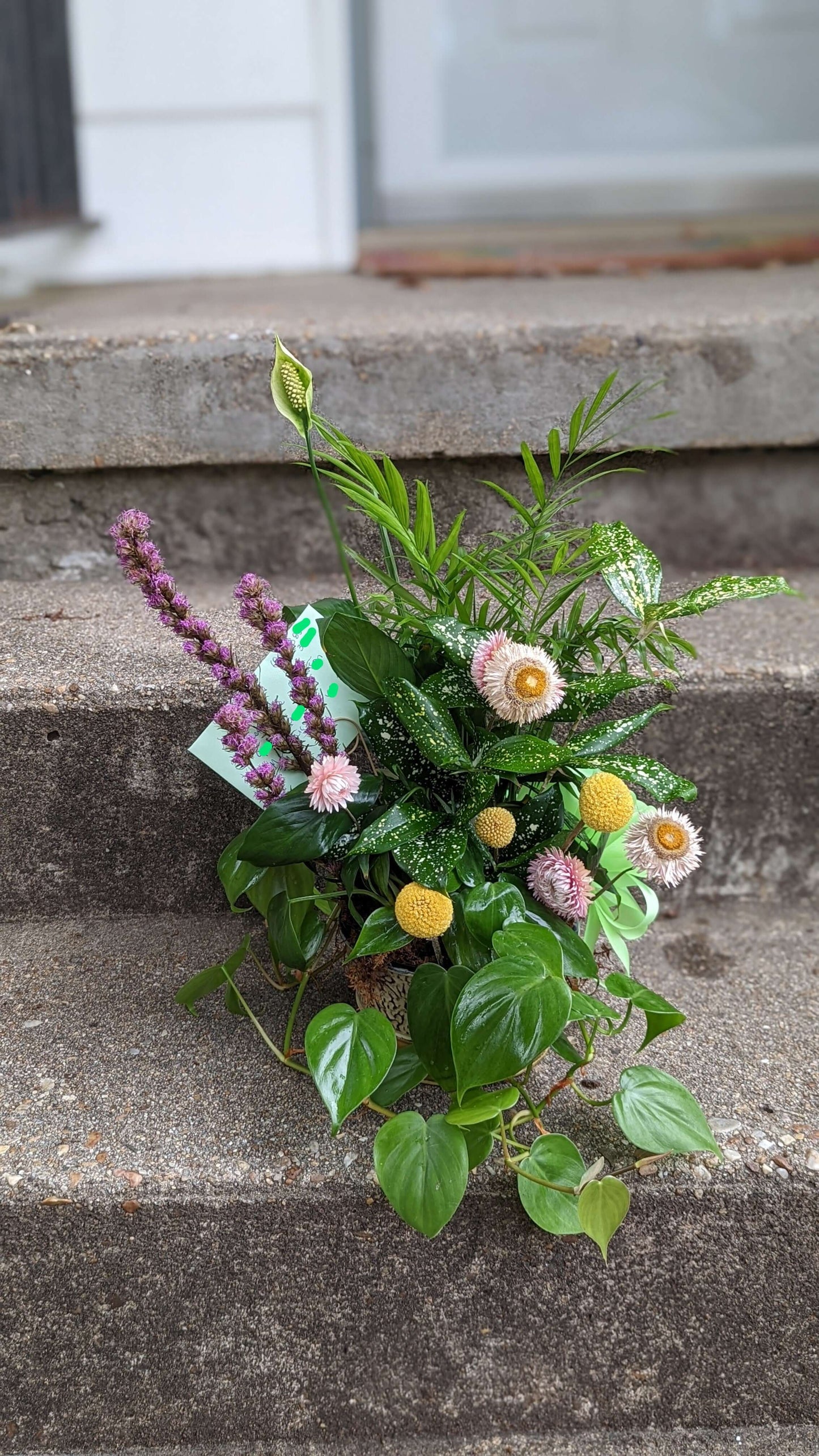 Dish Garden
A pleasing arrangement of different house plants that share similar light and water requirements. I will decorate with rocks and dried flowers. Please let me know if you would like a bow!
Plants
FloralsbyHeidiCatherine