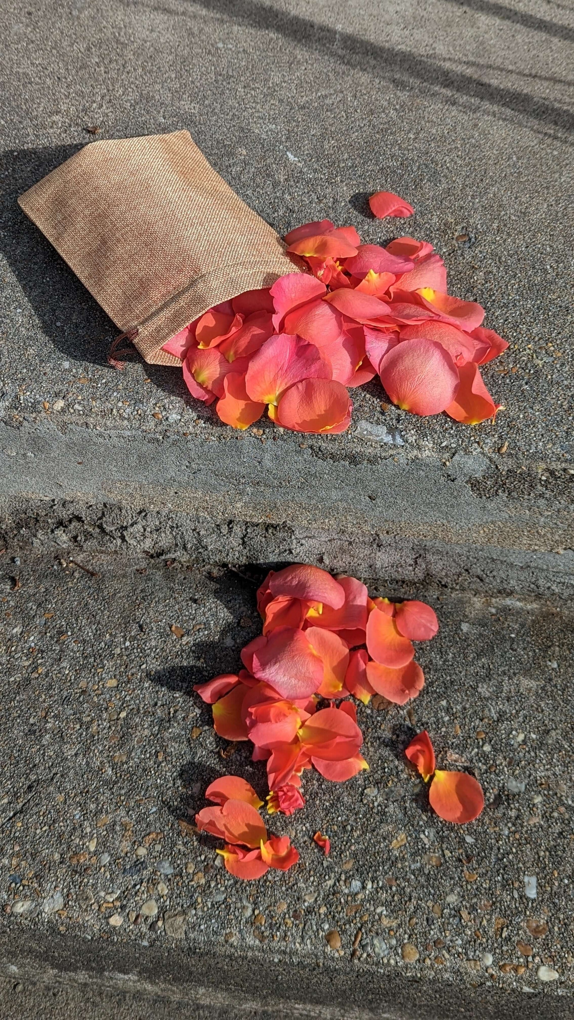 Fresh rose petals for the finishing touch on a romantic scene <3. Not eligible for delivery on its own, must order with an arrangement. Please include flower and color preferences. Some colors or flowers may not be available for same day orders. $20 Gif