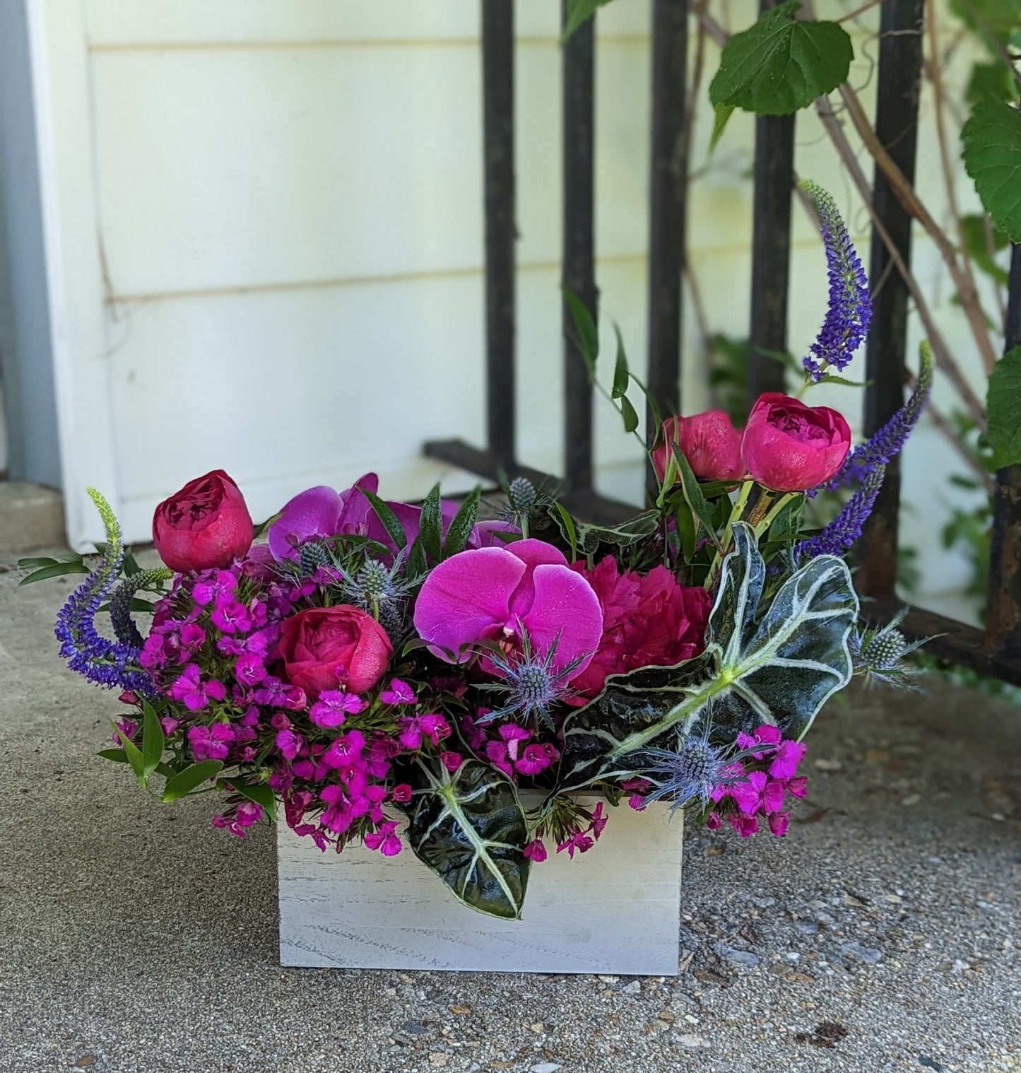 Garden Box