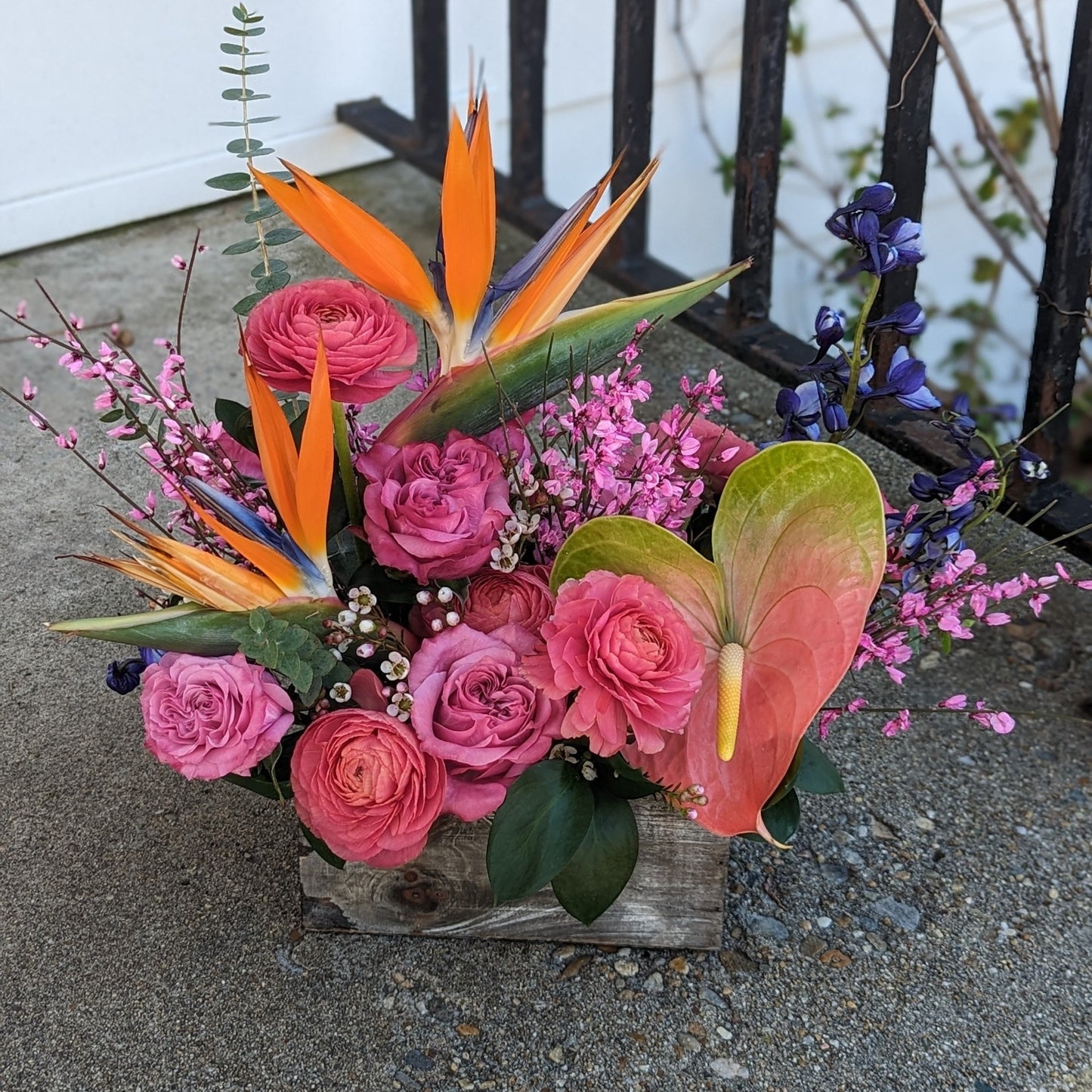 Garden Box